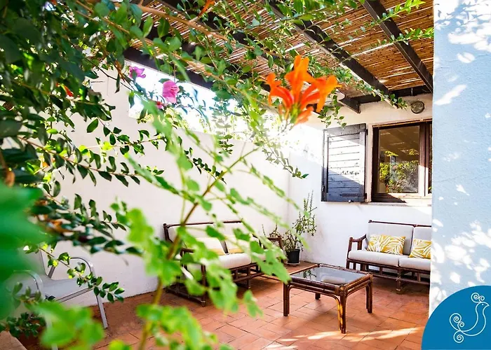 Villa Valeria - Charming House Close To The